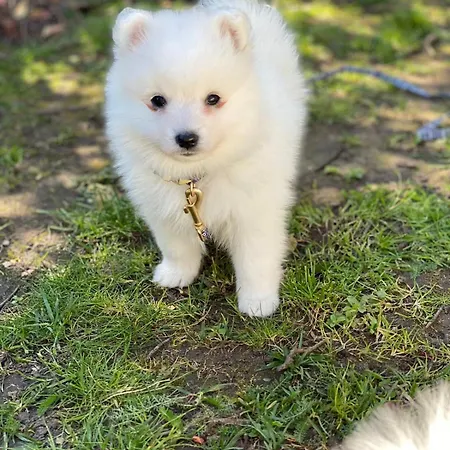 Duplex Apartamento *