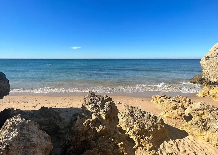 아파트 Duplex 알부페이라